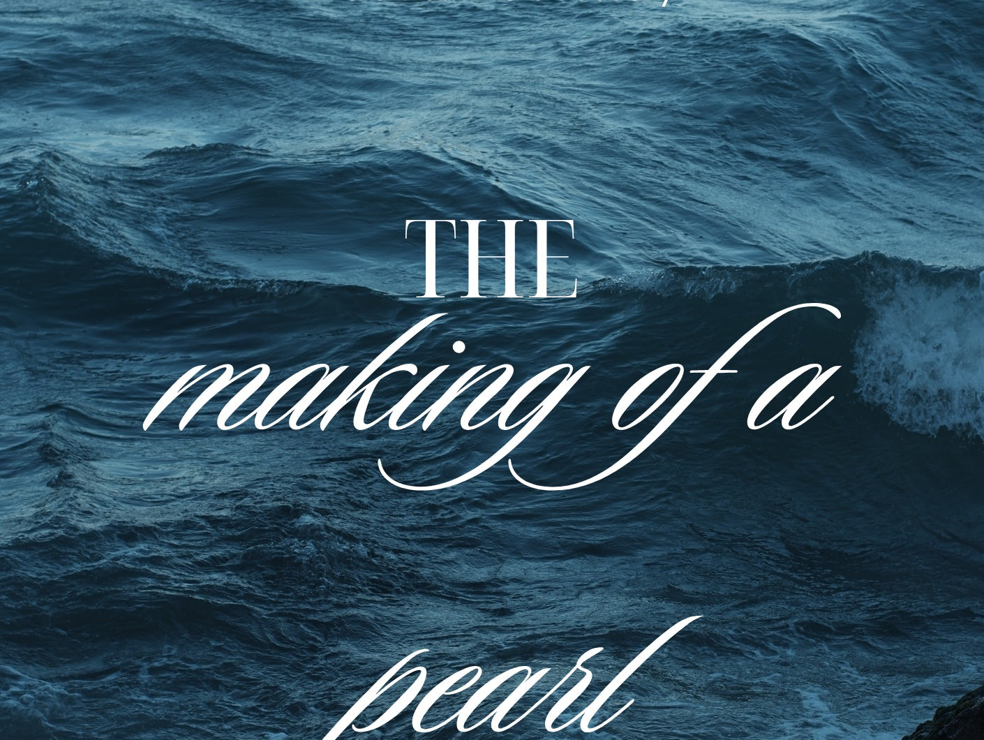 What I am Working On Now ~  November 2023 ~ Manifesting my Memoir