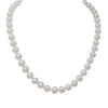 Beholden - Classic Pearl Strand Necklace - MILK VELVET PEARLS